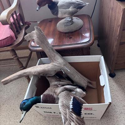 Sale Photo Thumbnail #35