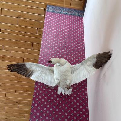 Sale Photo Thumbnail #58