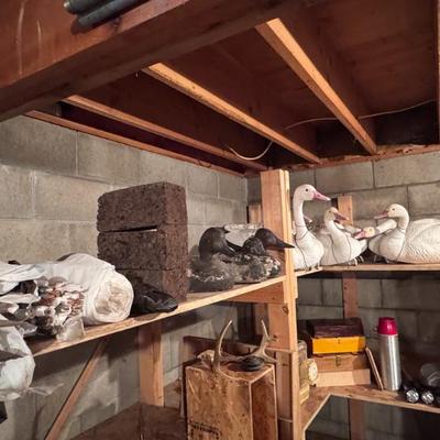 Sale Photo Thumbnail #155