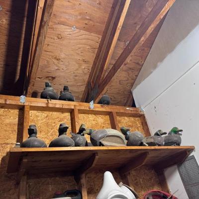 Sale Photo Thumbnail #21