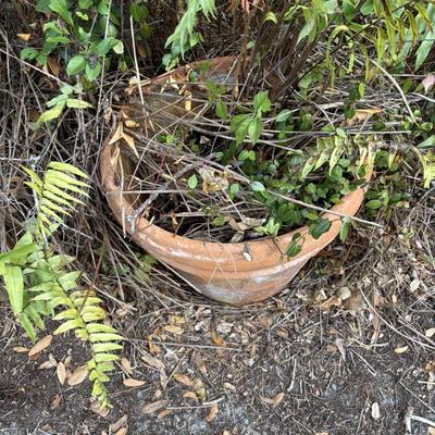 Sale Photo Thumbnail #185