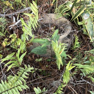 Sale Photo Thumbnail #184