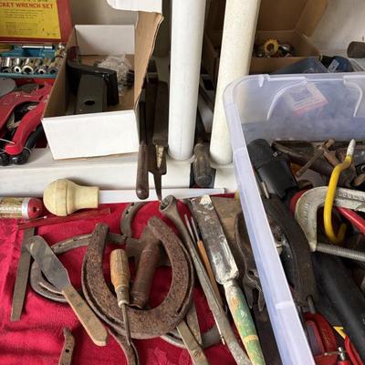 Sale Photo Thumbnail #234