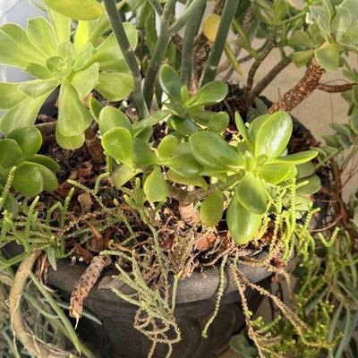 Sale Photo Thumbnail #292