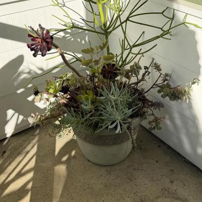 Sale Photo Thumbnail #293