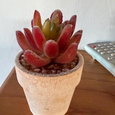 Sale Photo Thumbnail #70