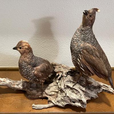 Sale Photo Thumbnail #80