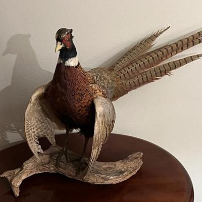 Sale Photo Thumbnail #87