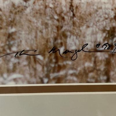 Sale Photo Thumbnail #50