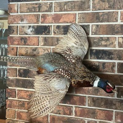 Sale Photo Thumbnail #179