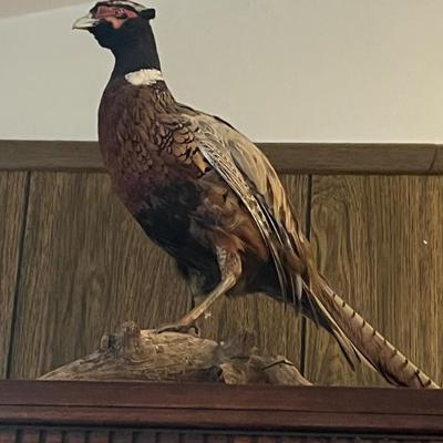 Sale Photo Thumbnail #183