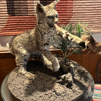 Sale Photo Thumbnail #214