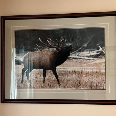 Sale Photo Thumbnail #49