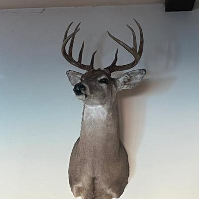 Sale Photo Thumbnail #180