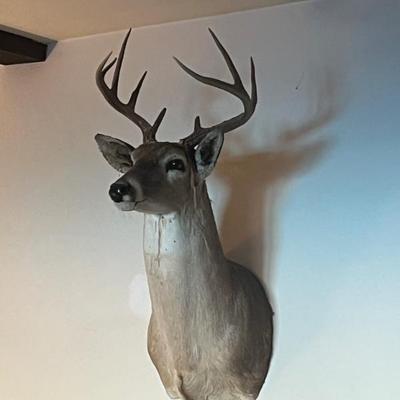 Sale Photo Thumbnail #181