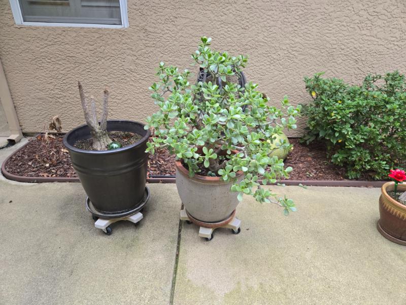 Sale Photo Thumbnail #143