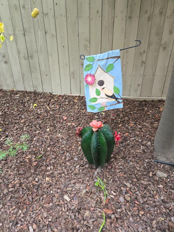 Sale Photo Thumbnail #144