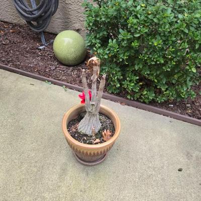 Sale Photo Thumbnail #141