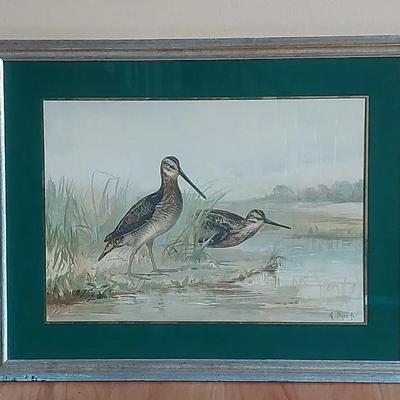 Shore Birds by A. Pope