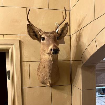 Sale Photo Thumbnail #151