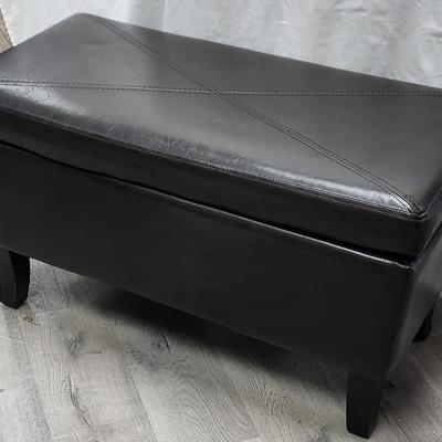 Brown Vinyl Storage Trunk