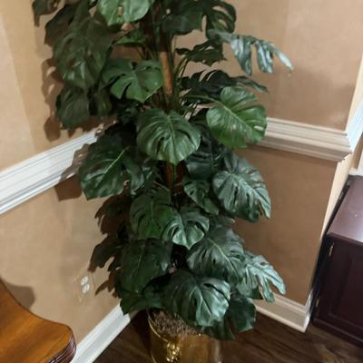 Sale Photo Thumbnail #243