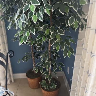 Sale Photo Thumbnail #238