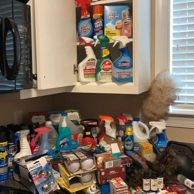 Household Cleaning & Home Maintenance Collection Featuring Clorox, OxiClean & Philips