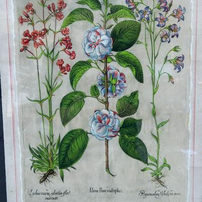 Sale Photo Thumbnail #221