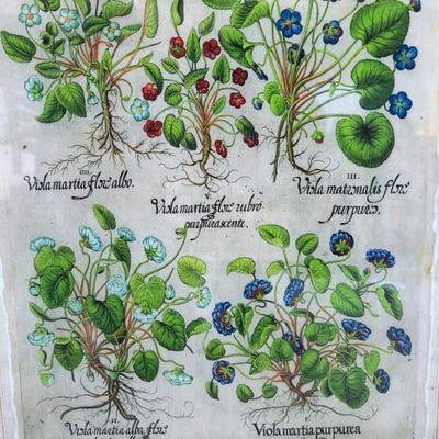 Sale Photo Thumbnail #217