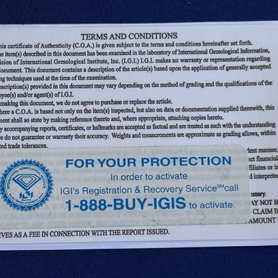 Sale Photo Thumbnail #492