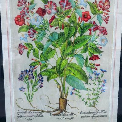 Sale Photo Thumbnail #210