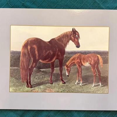 Lunden Horse Placemats 