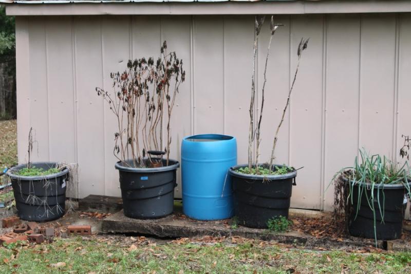 Sale Photo Thumbnail #55