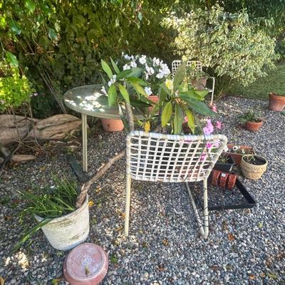 Sale Photo Thumbnail #133