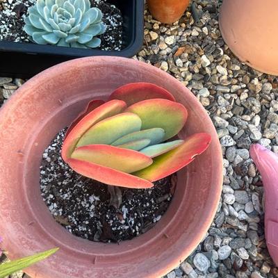 Sale Photo Thumbnail #141