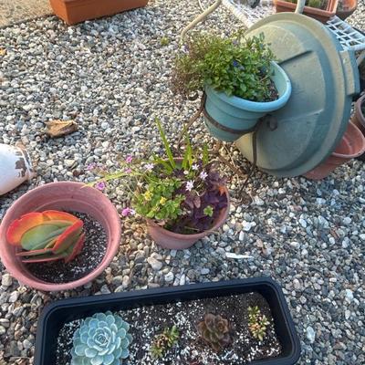 Sale Photo Thumbnail #144