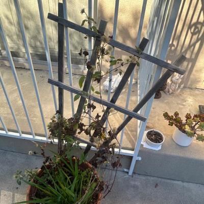 Sale Photo Thumbnail #131