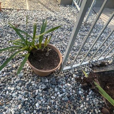 Sale Photo Thumbnail #134