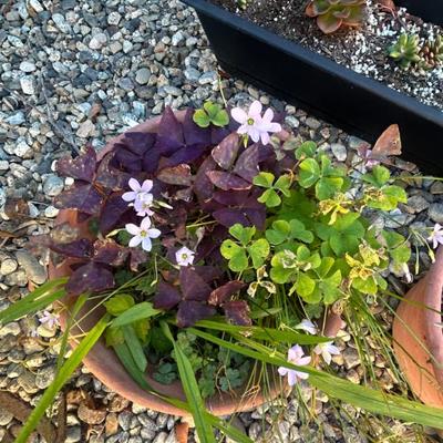 Sale Photo Thumbnail #142