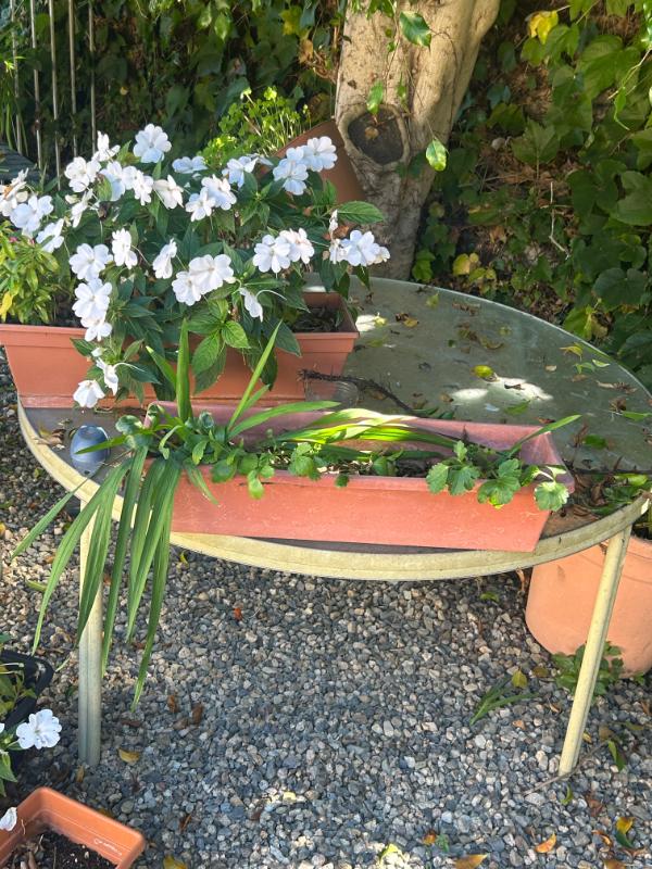 Sale Photo Thumbnail #162