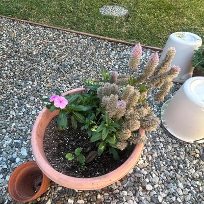 Sale Photo Thumbnail #143