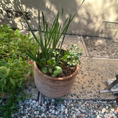 Sale Photo Thumbnail #146