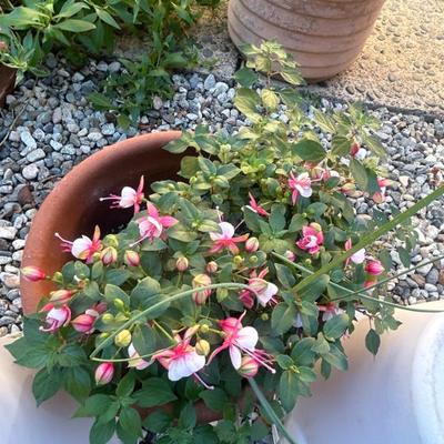 Sale Photo Thumbnail #145