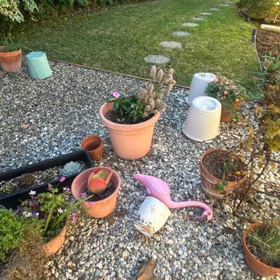 Sale Photo Thumbnail #139