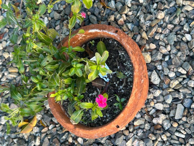 Sale Photo Thumbnail #167