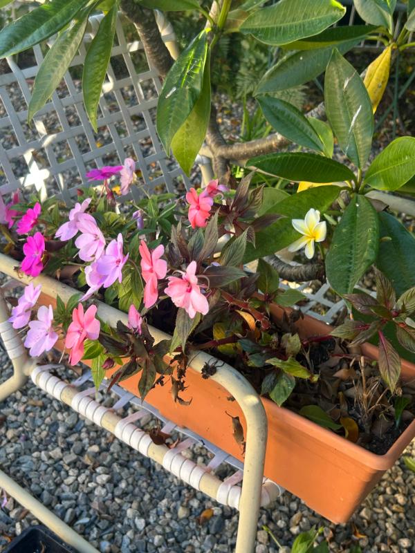 Sale Photo Thumbnail #158