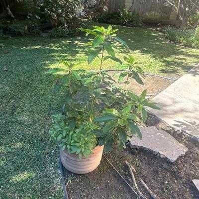 Sale Photo Thumbnail #151