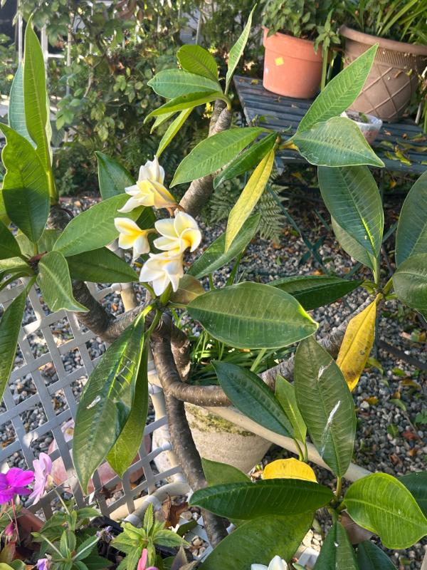 Sale Photo Thumbnail #172