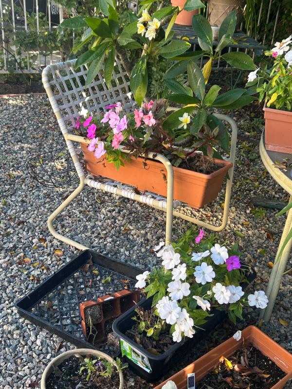 Sale Photo Thumbnail #169